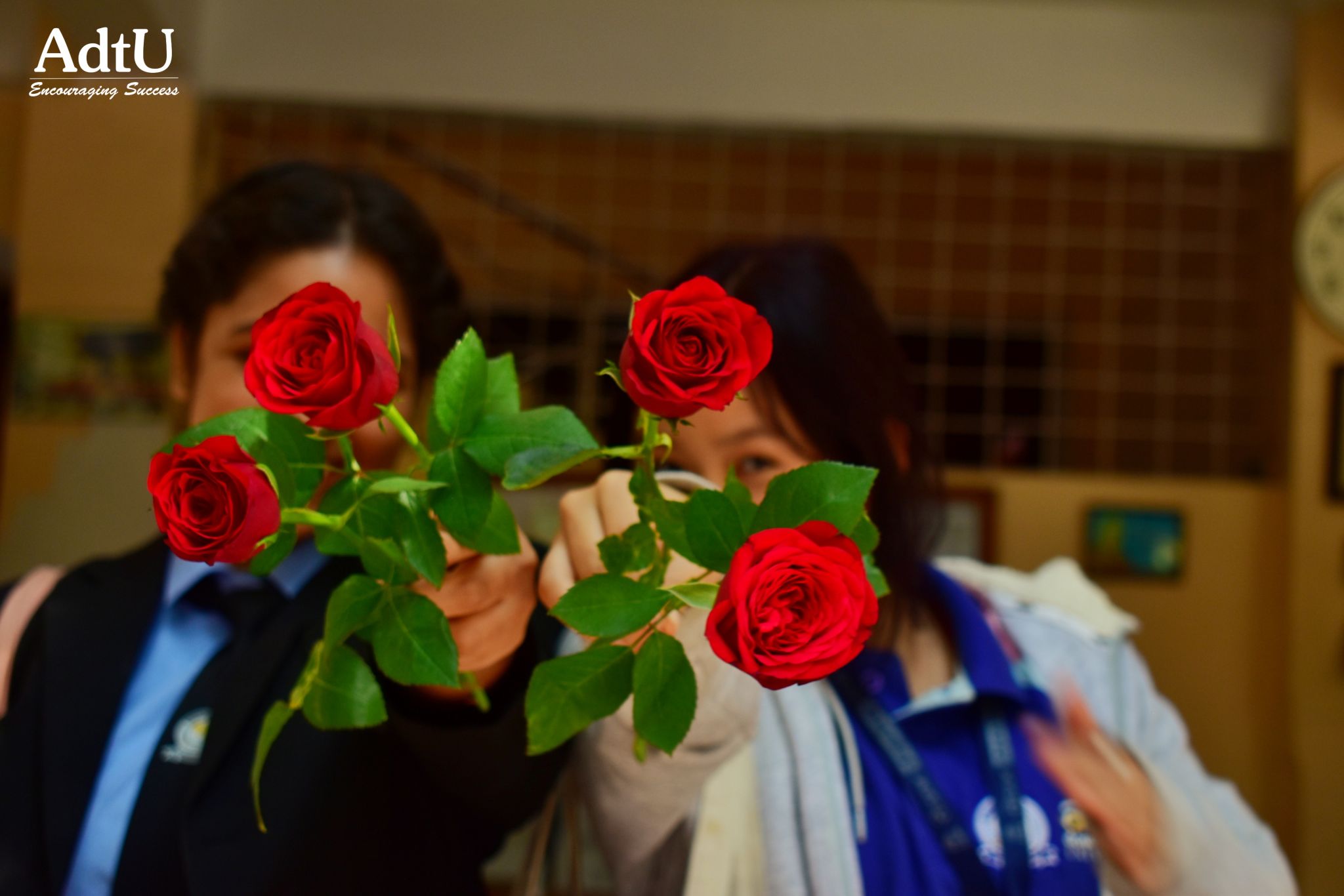 Rose Day: Celebrating Love, Friendship, and Self-L...